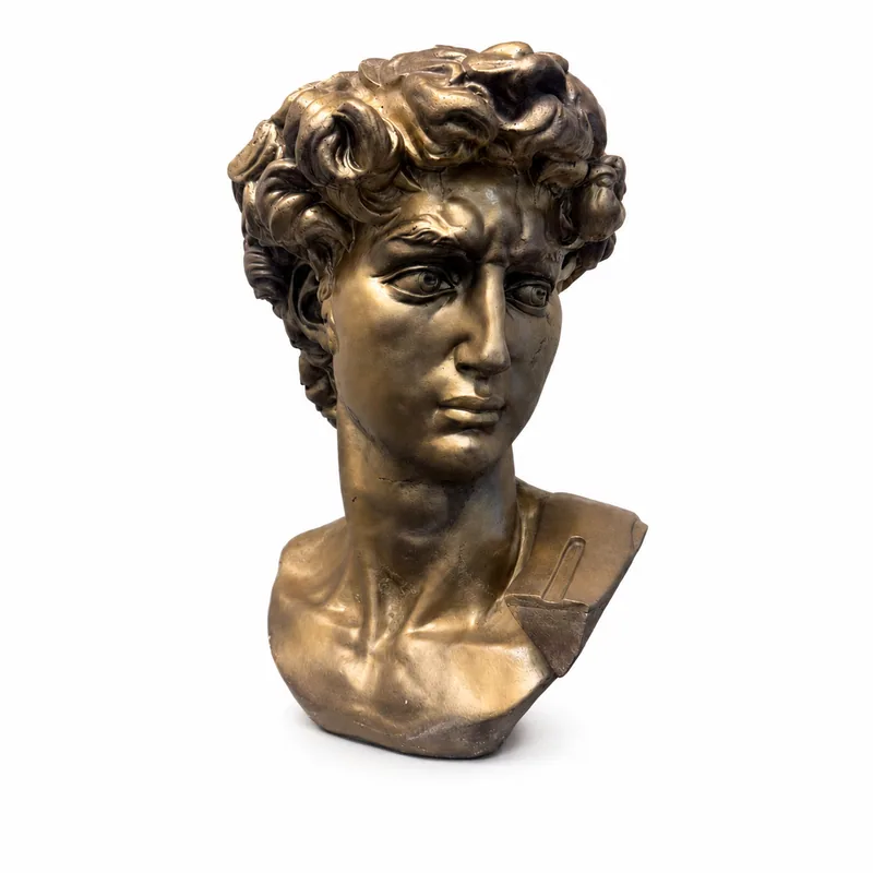 Bronze-finished concrete bust of David