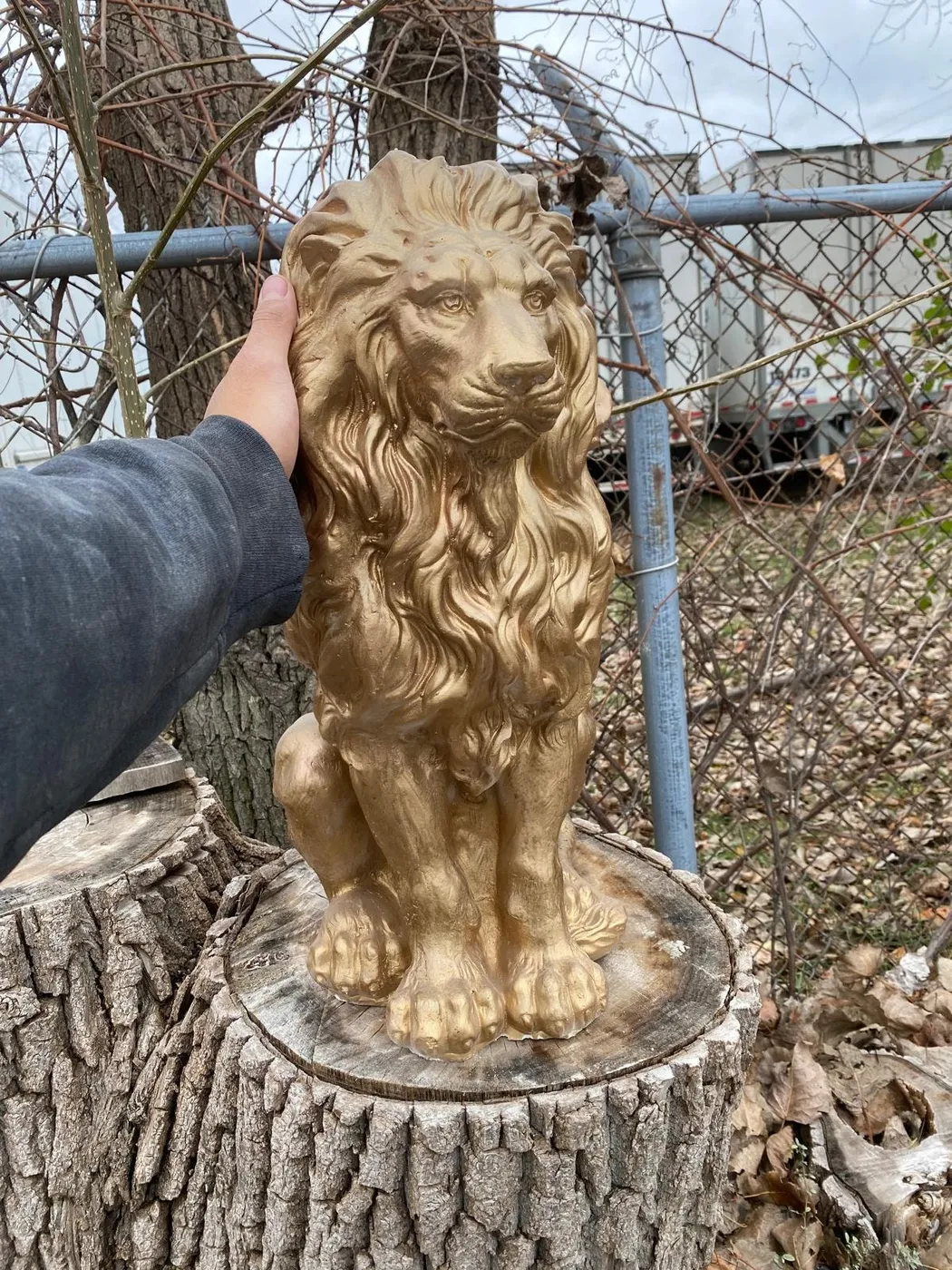 21″ Guardian Lion, Hand-Painted Concrete, photo 5 of 10