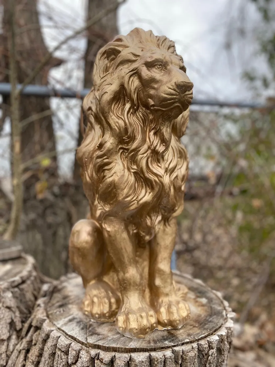 21″ Guardian Lion, Hand-Painted Concrete, photo 6 of 10