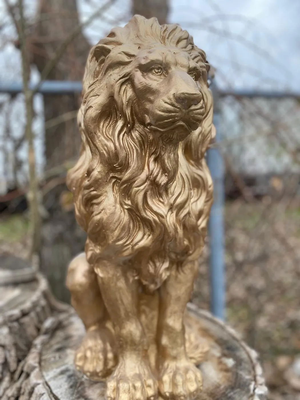 21″ Guardian Lion, Hand-Painted Concrete, photo 7 of 10