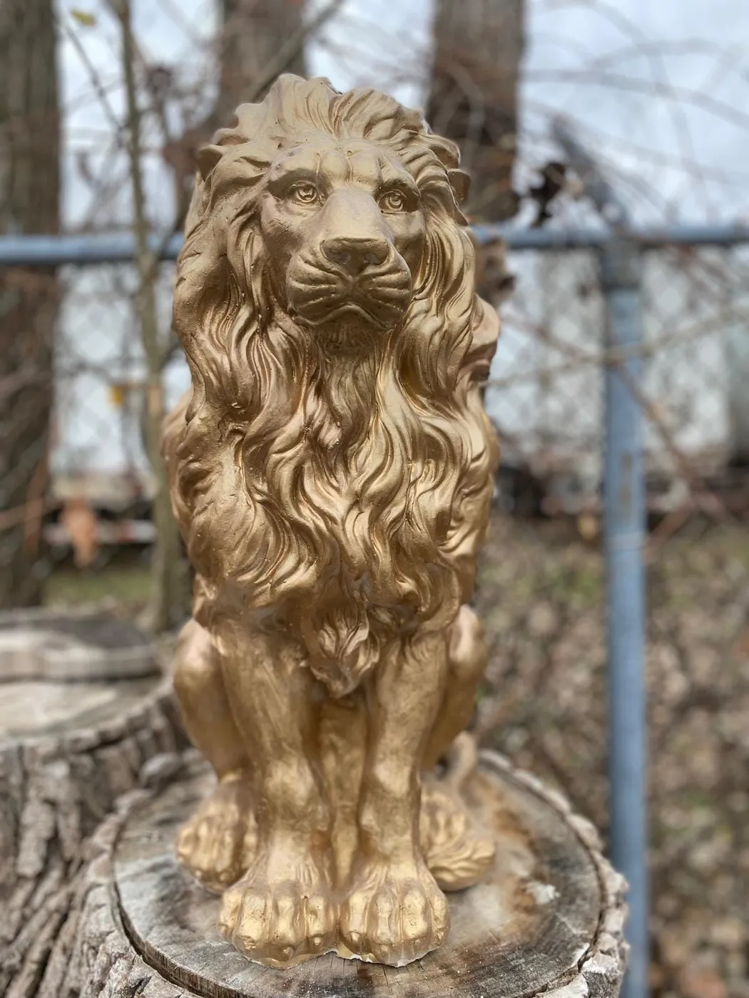 21″ Guardian Lion, Hand-Painted Concrete, photo 8 of 10