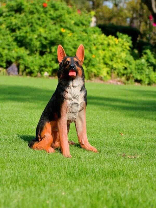 IMG-20230729-WA0041 - Copy - Copy (2)-Photoroom German Shephard | Sitting Up-right Shephard Dog statue Handmade and can be custom painted Outdoor Statues