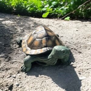 large turtle statue made out of solid concrete