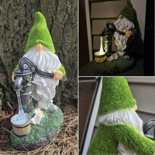 4 Solar gnome Pumping Water
