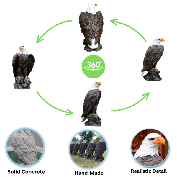 Stone American Bald Eagle