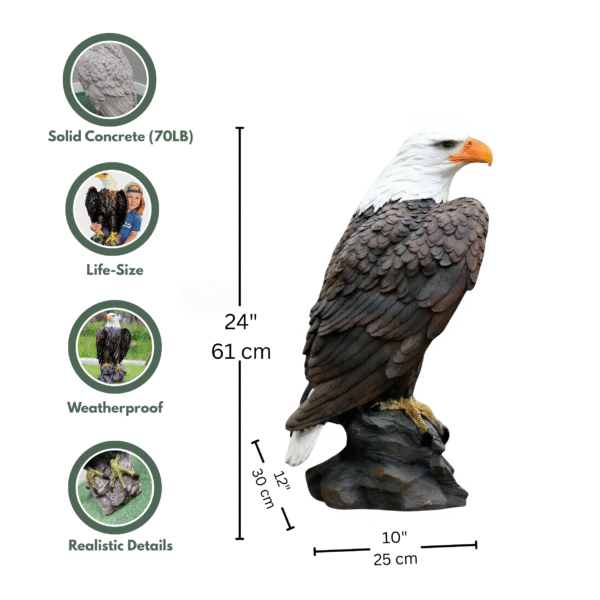 Stone American Bald Eagle