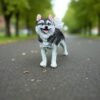 Life-size Standing Husky Puppy  handmade to make your garden or home look more beautiful Dog garden statue Pet memorial Husky lover gift