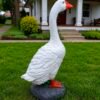 WhatsApp Image 2026-07ddd-23 at 11.42.35 PM Heavy Concrete Porch Goose Statue, 20 Inch Cement Dress Up Goose, Outdoor Garden Yard Decor, Hand Painted or Unpainted Goose Gift
